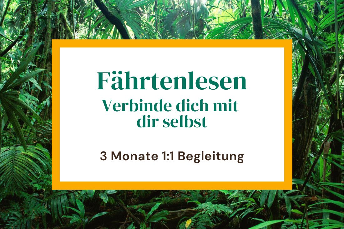 3 Monate 1:1 Begleitung