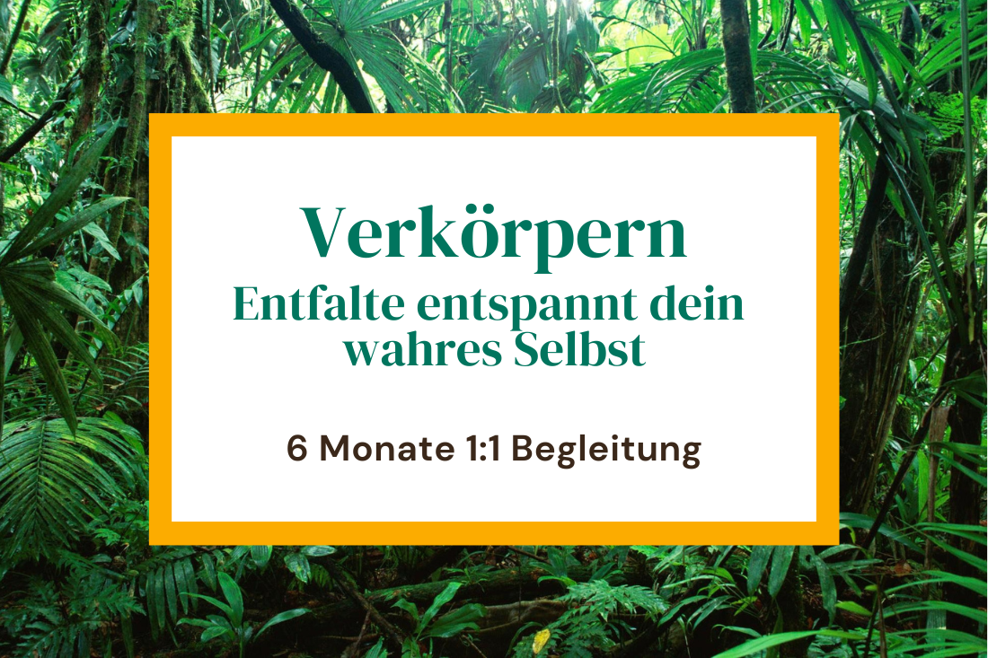 6 Monate 1:1 Begleitung